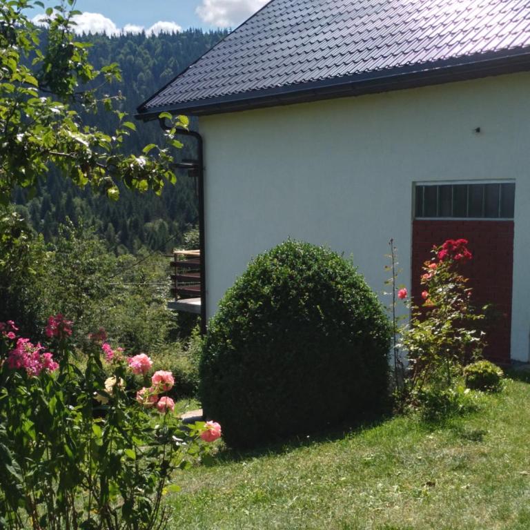 Planinska kuća ,,Furtula" Jahorina - Three-Bedroom House - 2