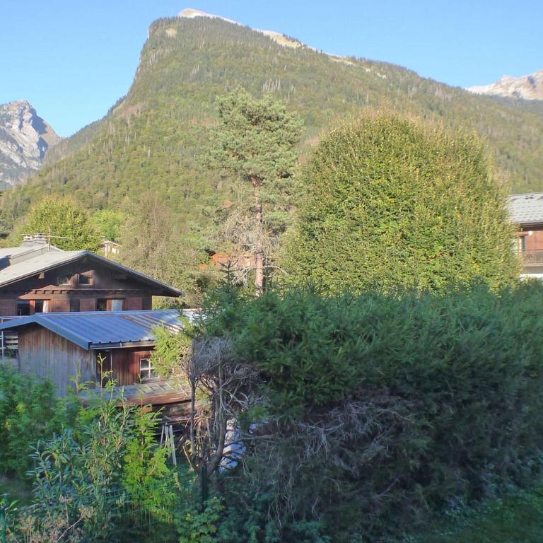 Confortable 2 pièces cabine à Samoëns avec wifi, parking et animaux admis - FR-1-629-105 - Apartment - 7