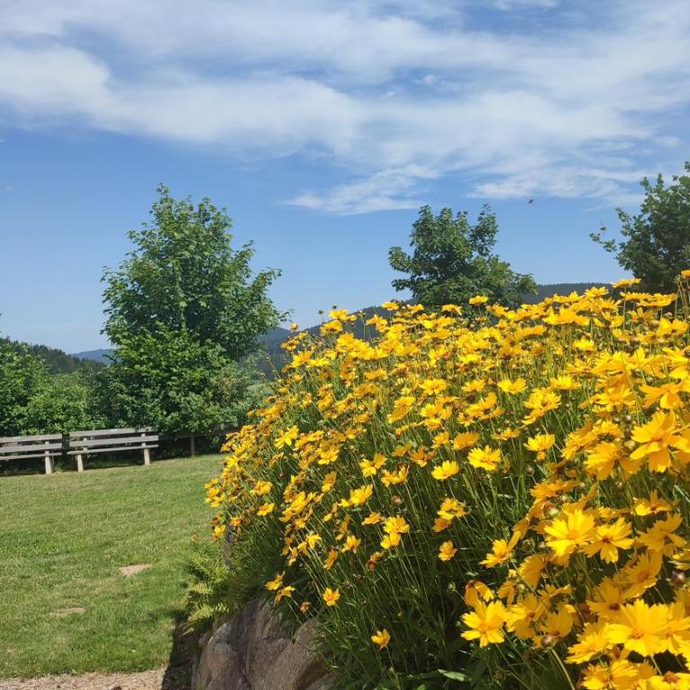 Stressless Sun aktivCARD Bayerischer Wald inklusive - Apartment mit Terrasse - 41