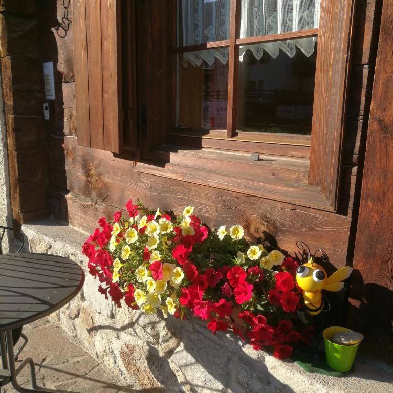 Chalet Claudia - Appartamento con 2 Camere da Letto - 19
