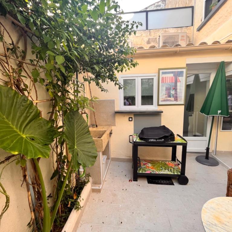 Studio indépendant, patio, intra-muros , clim, parking - Appartement 1 Chambre - 10