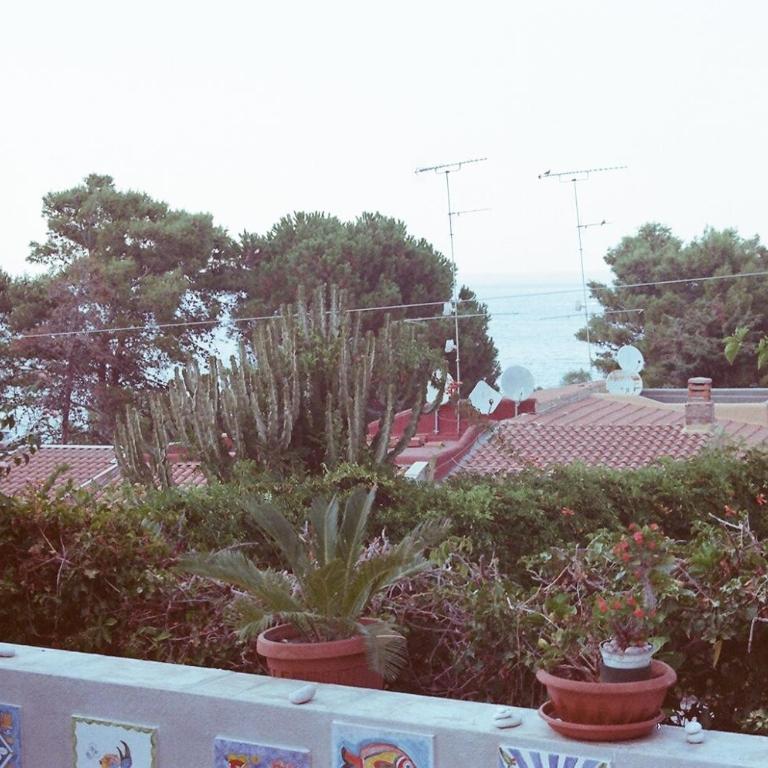 Two Steps From The Sea - Villa Fronte Spiaggia - 40