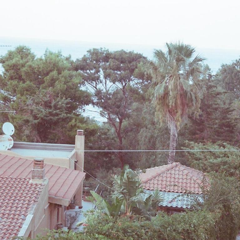 Two Steps From The Sea - Villa Fronte Spiaggia - 42