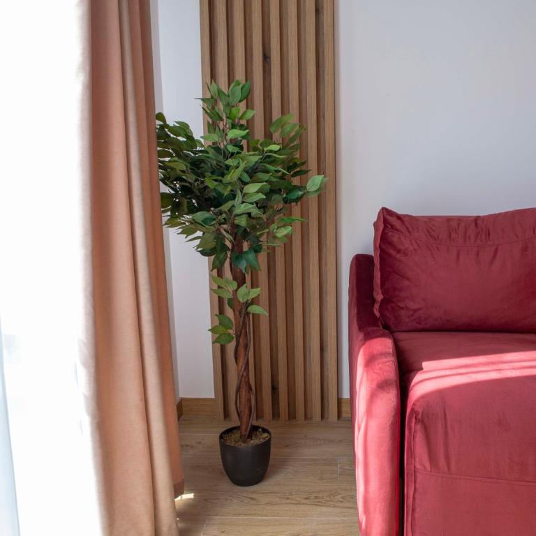 Apart Hotel Gondola Kolasin - Apartman sa 1 Spavaćom Sobom - 9