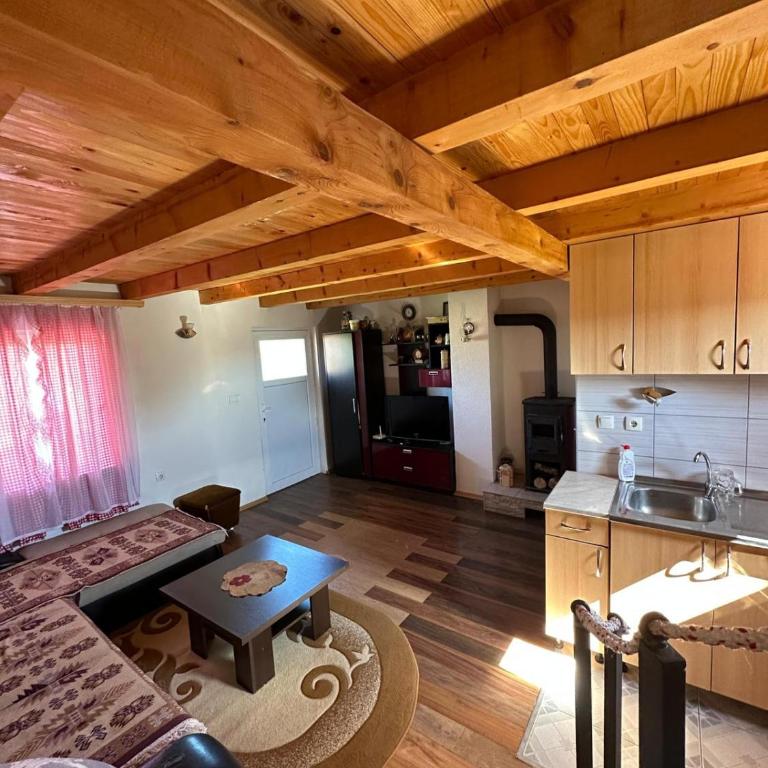 Vikendica Krčmarice - Kuća sa 1 Spavaćom Sobom - 19