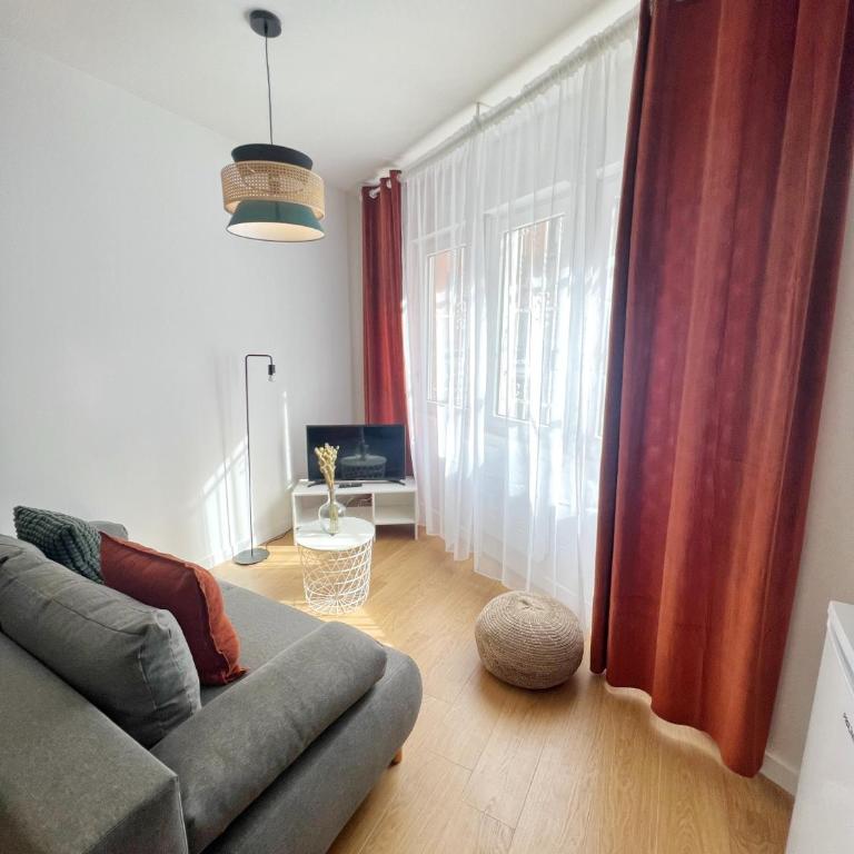 LE PIQUE DE FALGUIERE - Centre - Gare - Netflix - Appartement 1 Chambre - 2
