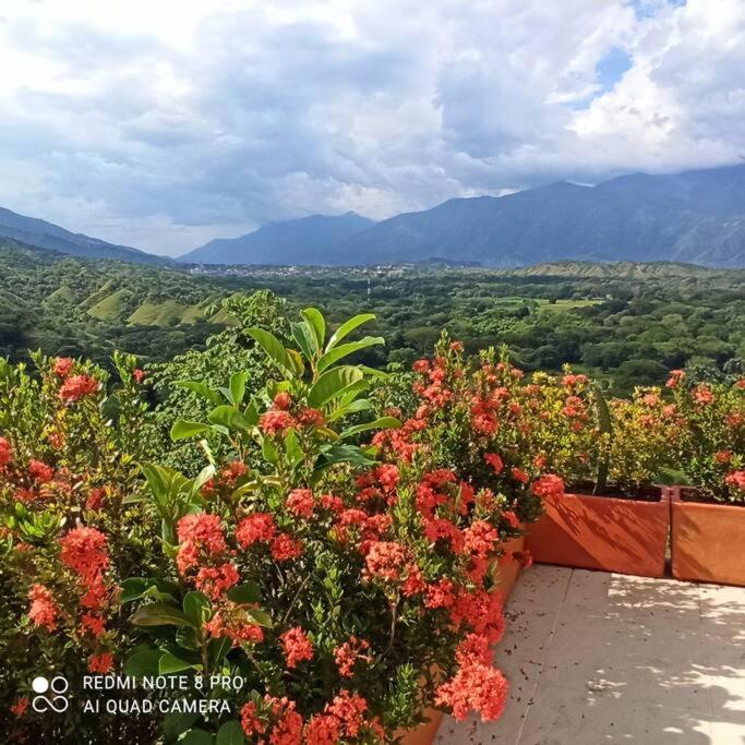 Casa de campo con piscina, en un clima ideal y un paisaje excepcional - Villa - 17