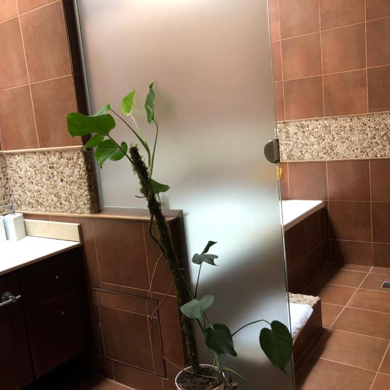 El Portal de la Viña - Habitación Doble con baño privado - 13