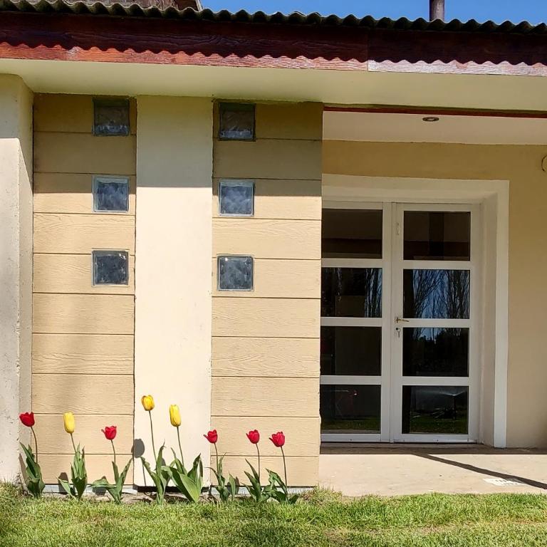 El viejo Boliche Apart - One-Bedroom Apartment - 1