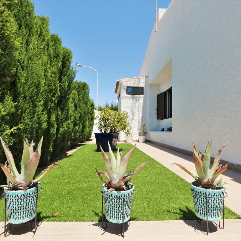 Luxury bungalow in Dehesa de Campoamor 900 meters from the beach - Casa de 2 dormitorios - 10