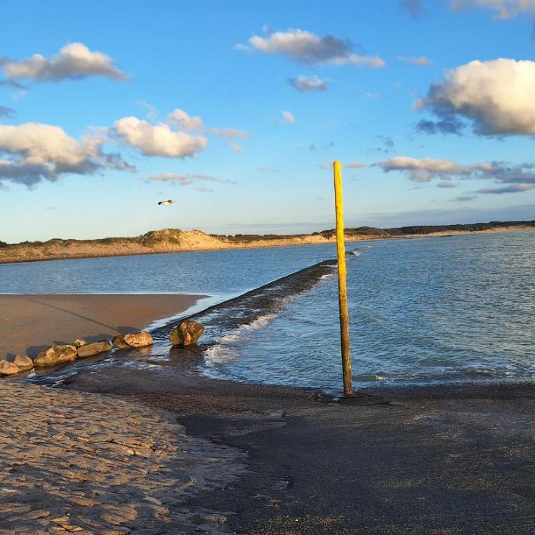 LES COQUILLAGES, plage et centre à pied, 2 salles de bains, lits faits - Apartamento de 2 dormitorios - 32