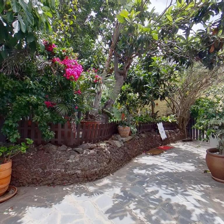 Charming 1-Bed House in La Laguna - Villa de 1 dormitorio - 22
