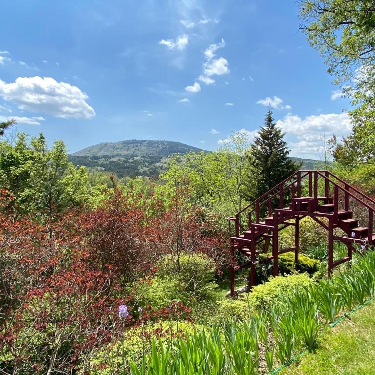 Le Vallon du Brec - Jardin classé remarquable - Monolocale - 16