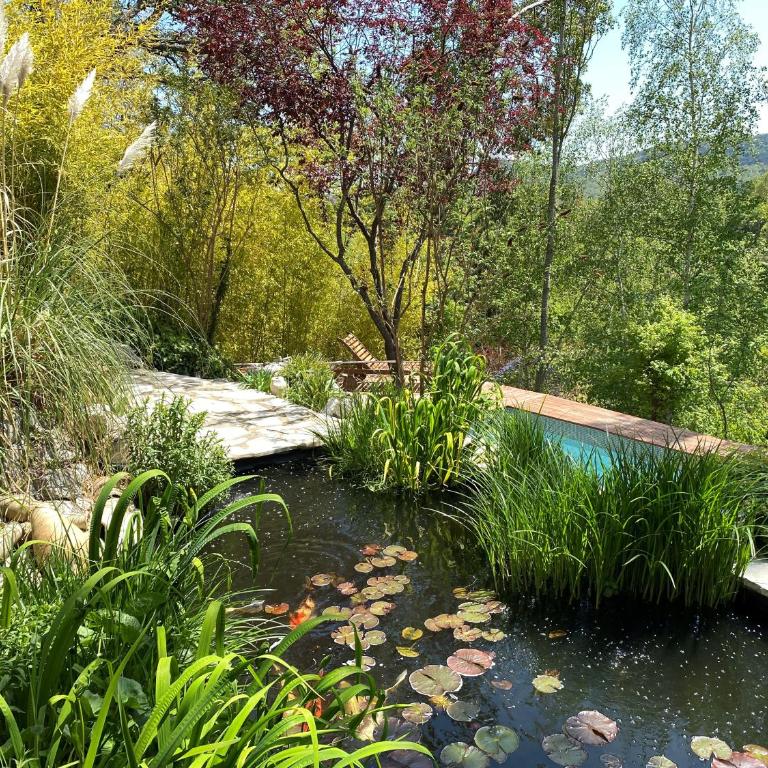 Le Vallon du Brec - Jardin classé remarquable - Monolocale - 13