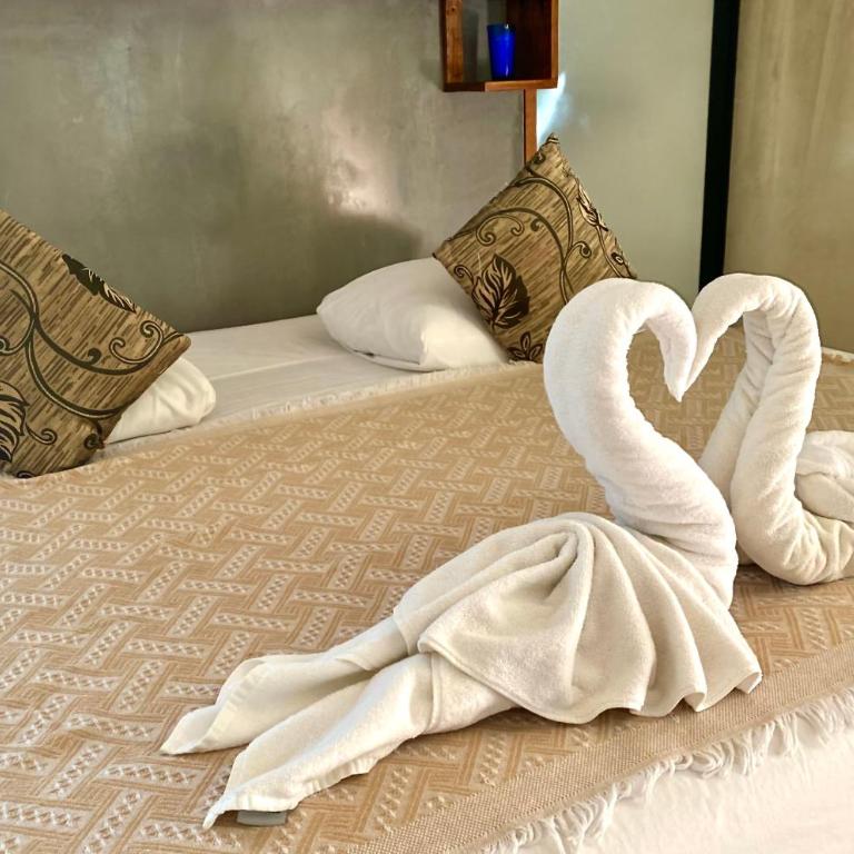 Pacha Tulum Boutique Hotel - Suite Presidencial - 4