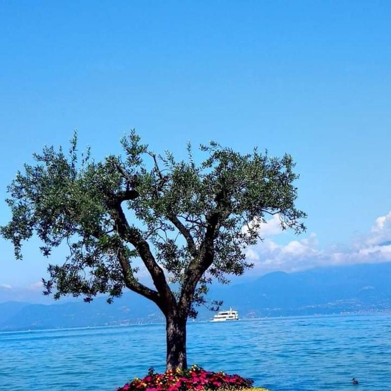 Mahatma Residence lake View - Appartamento con 2 Camere da Letto - 3