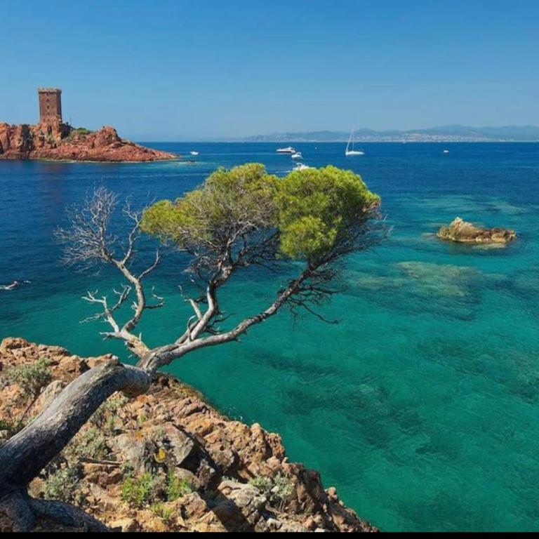 Appartement de charme aperçu mer - Appartamento con 1 Camera da Letto - 16