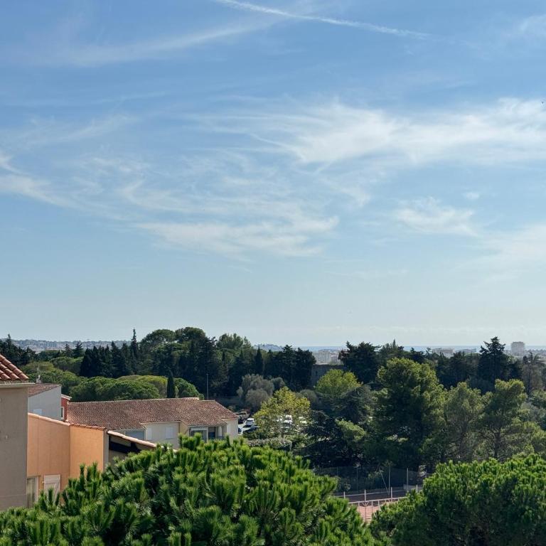 Appartement de charme aperçu mer - Appartamento con 1 Camera da Letto - 17