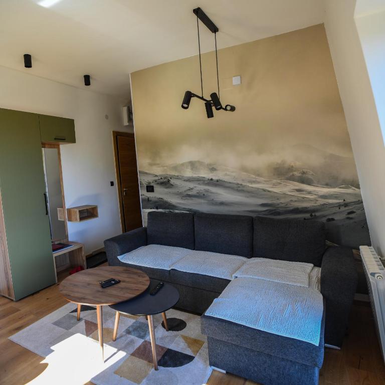 Apartmani Slalom - Apartman sa 1 Spavaćom Sobom - 3