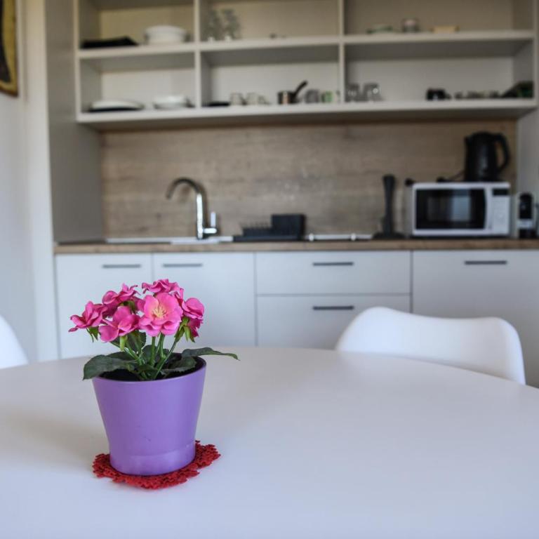 Apartmani Slalom - Apartman sa 1 Spavaćom Sobom - 5