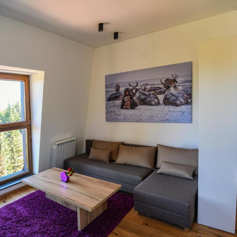 Apartmani Slalom - Apartman sa 1 Spavaćom Sobom - 3