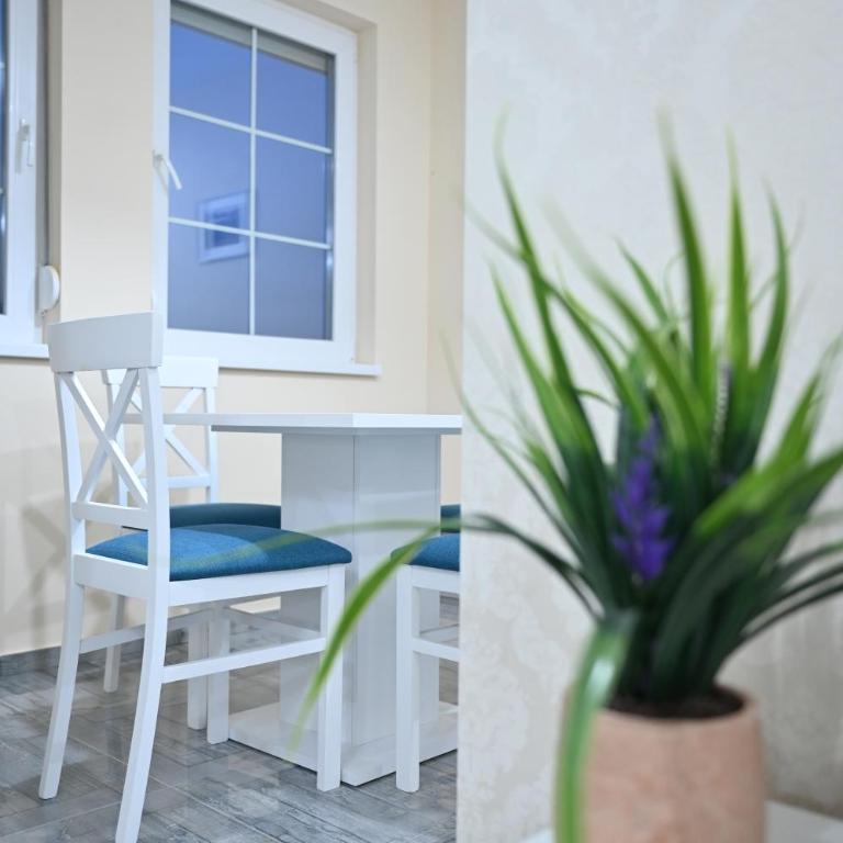 Smeštaj TEA sa dva bazena i besplatan parking - Apartman sa 1 Spavaćom Sobom - 15