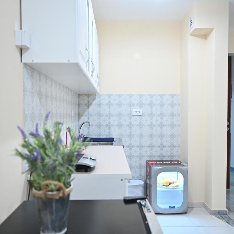 Smeštaj TEA sa dva bazena i besplatan parking - Apartman sa 1 Spavaćom Sobom - 6