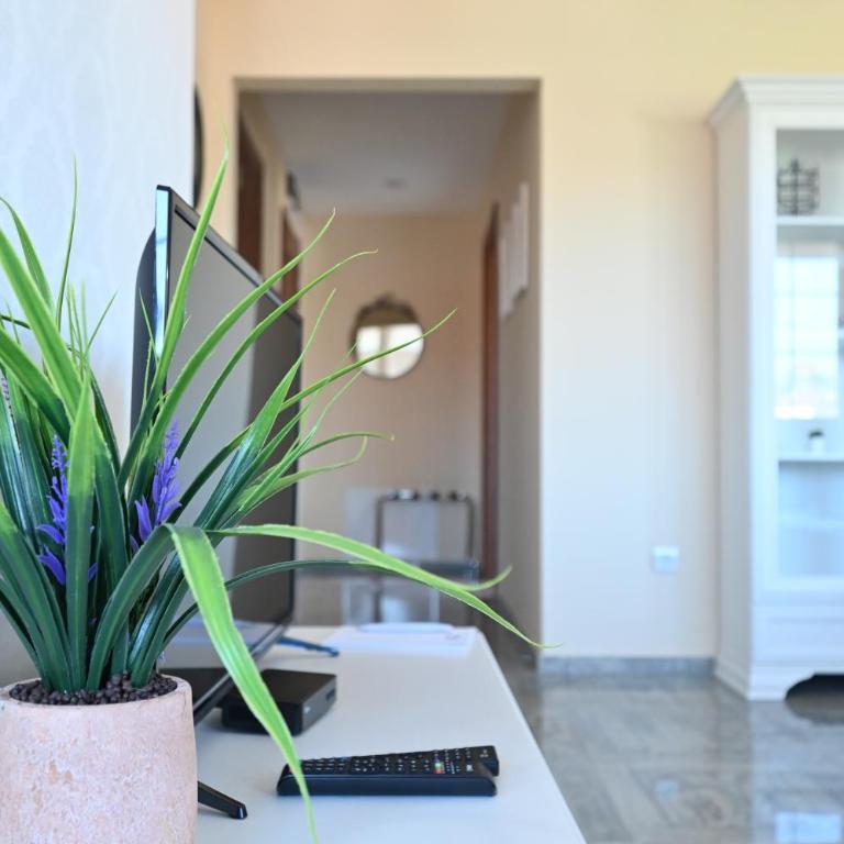 Smeštaj TEA sa dva bazena i besplatan parking - Apartman sa 1 Spavaćom Sobom - 100
