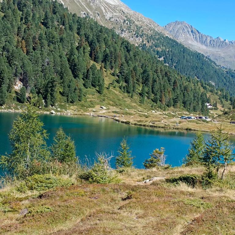 APPARTEMENT EBERHARTER Conny - Apartment mit Blick auf die Berge - 35