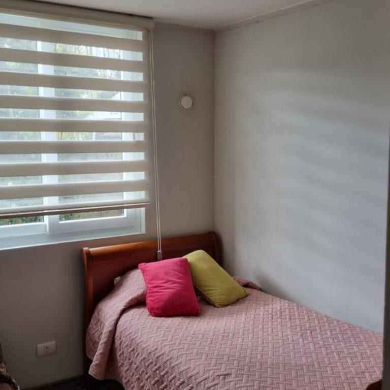 Plaza Brintrup - Apartamento Estándar - 37