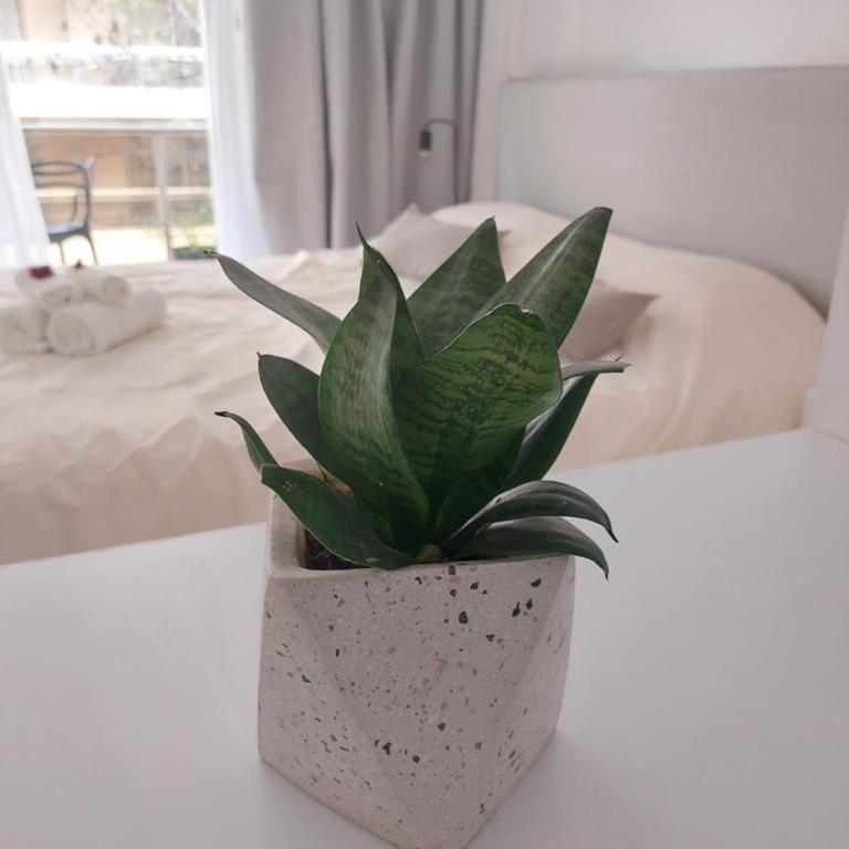 Precioso Monoambiente en Recoleta Peña I - Apartamento de 1 dormitorio - 18