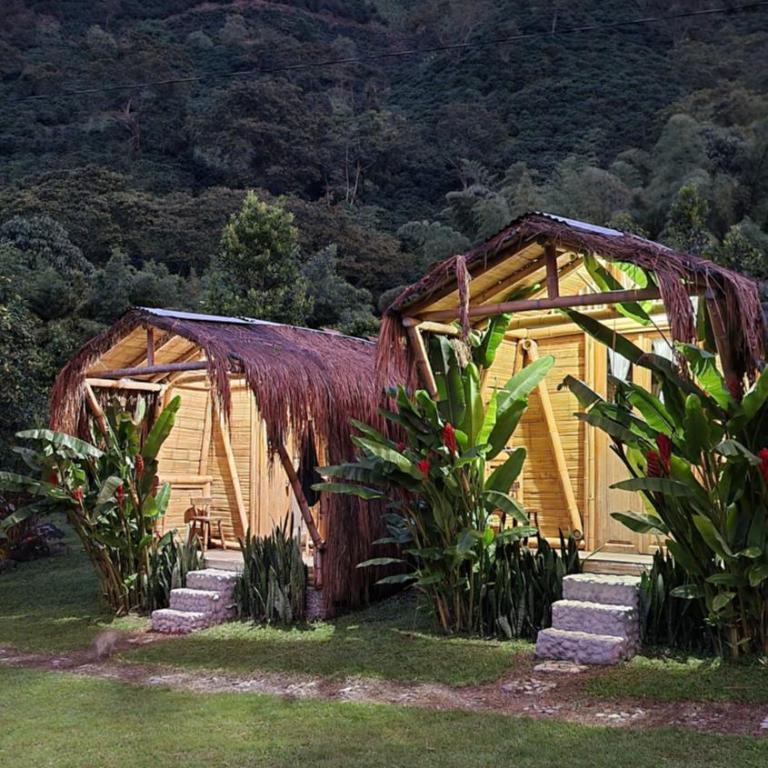 Pradera Ecoliving - Superior Bungalow - 9