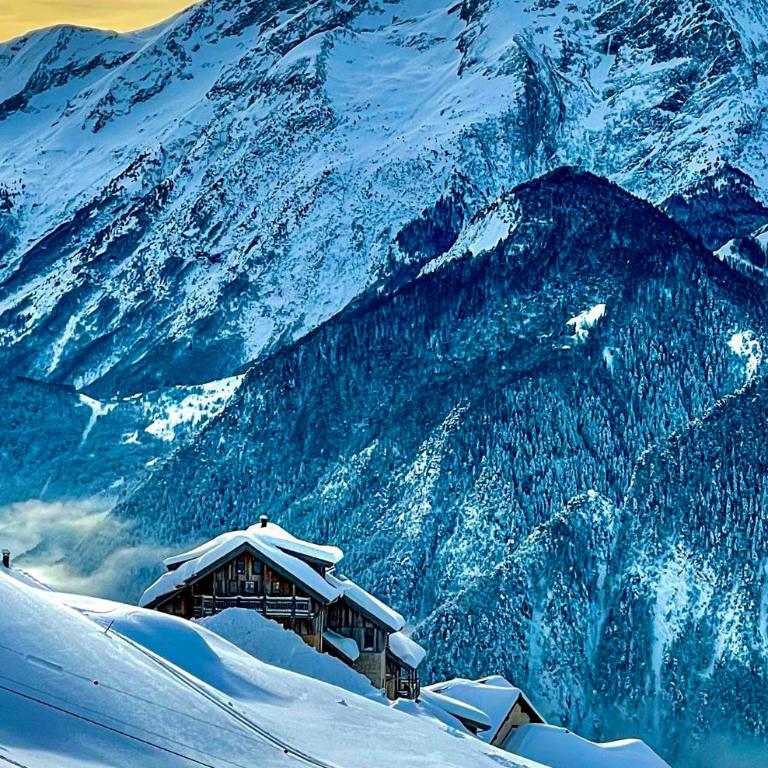 Chalet Le Perchoir, Spa, Sauna, sur les pistes - Chalet Supérieur - 3