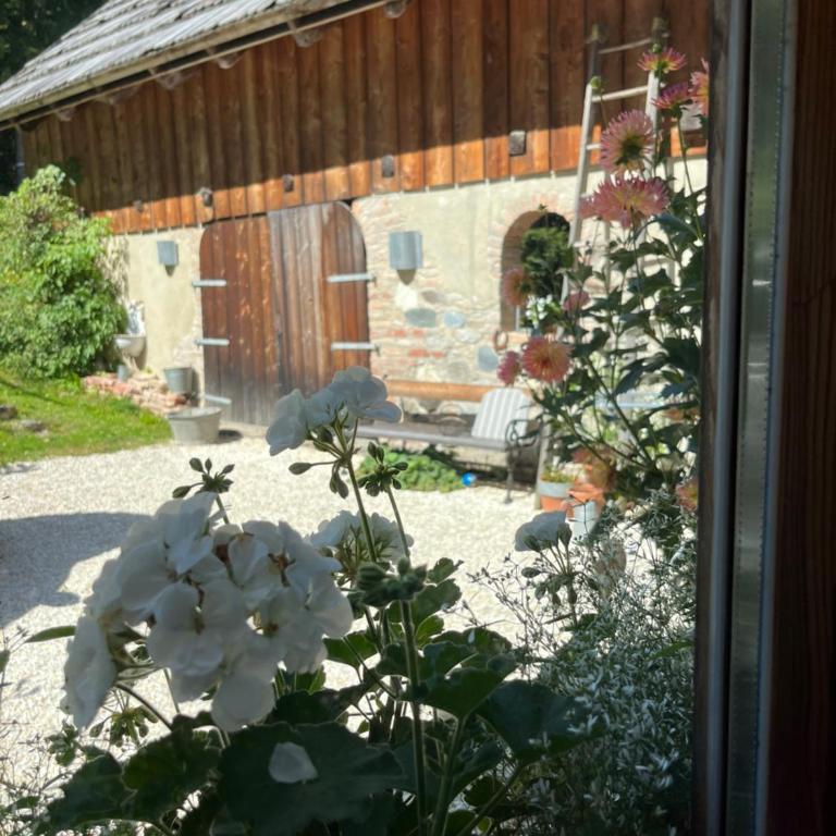 Ferienwohnung Waldhauser - Apartment mit 2 Schlafzimmern - 42