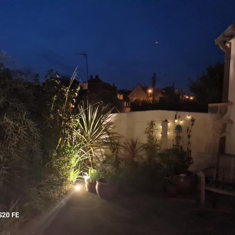Studio en plein centre-ville de Perros-Guirec - One-Bedroom Apartment - 18