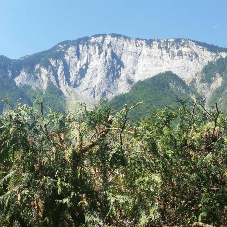 Les Iris - Appartement avec Vue sur la Montagne - 21