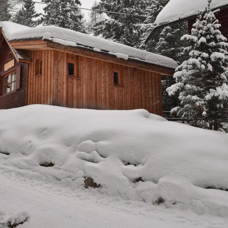 Zirbenwald Chalet - Haus mit 1 Schlafzimmer - 28