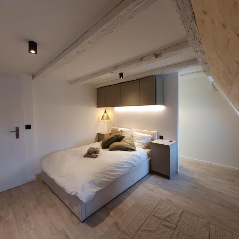 Les appartements Hyper centre - Appartamento su 2 Livelli - 18
