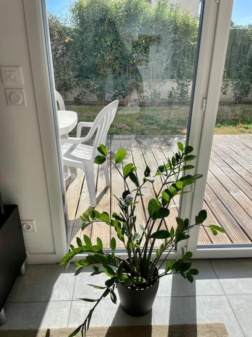 La Roseraie Toulousaine, parking à réserver, proche métro - Apartment - Erdgeschoss - 17