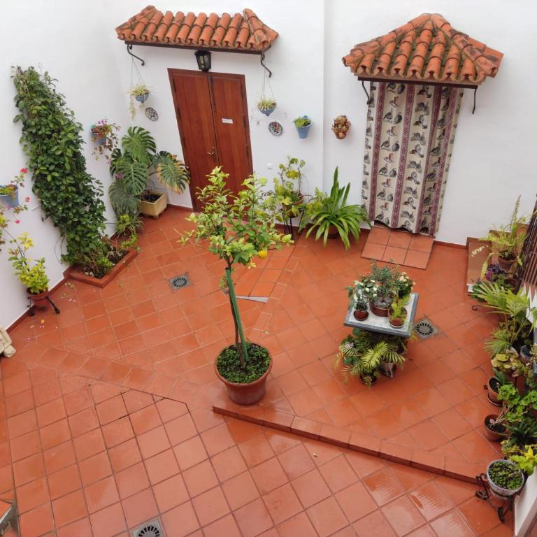 Cordobán By Guimar - Apartamento de 2 dormitorios - 1