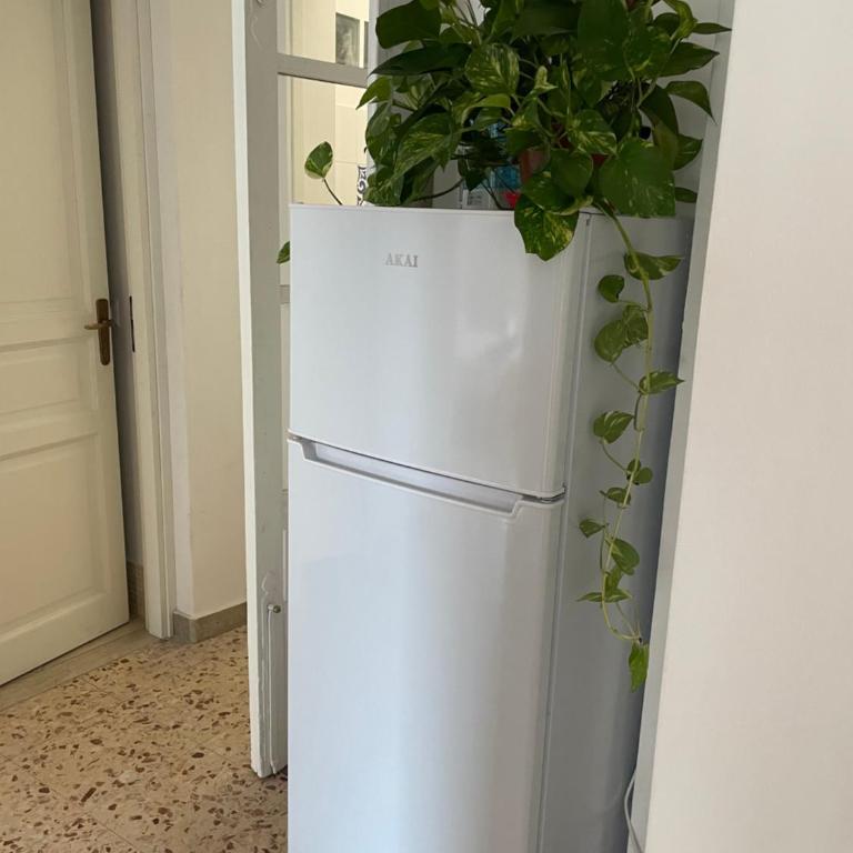 Lorenzo's House Catania - Comfortable flat in the city centre - Appartamento con 2 Camere da Letto e Vista Città - 13
