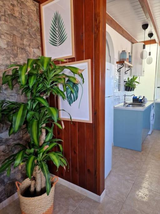 Vintage & Deluxe Apartments - Apartamento de 2 dormitorios - 28