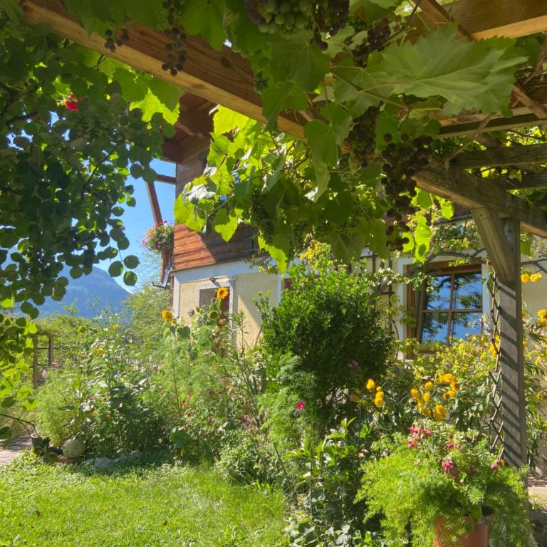 Ferienwohnung Am Jodlerweg - Apartment mit 1 Schlafzimmer - 30