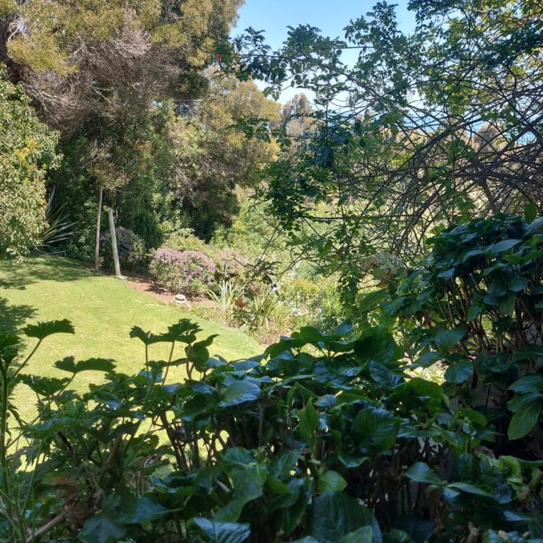 B&B Santo Domingo Chile ENGLISH SPOKEN Gran Departamento compartido frente al mar PARQUE TRICAO bird sanctuary 14kms 9miles away DESAYUNO ESTACIONAMIENTO Y WIFI GRATIS Free parking wifi and breakfast - Superior Suite with Sea View - 31