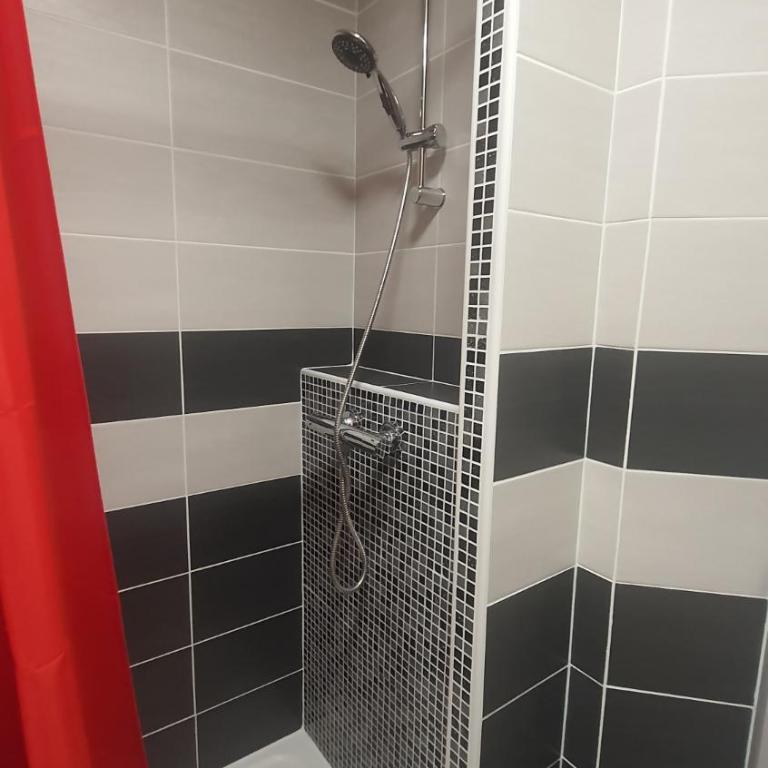 JOLI T2 DANS UN ECRIN DE VERDURE n 2 - Appartement 1 Chambre - 9