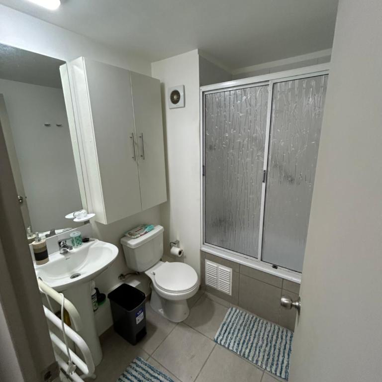 Cómodo Dpto en Curicó - Apartamento de 1 dormitorio - 9