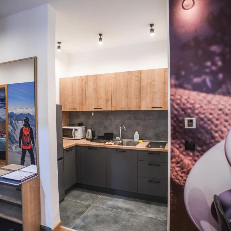Apartmani Slalom - Apartman sa 1 Spavaćom Sobom - 5