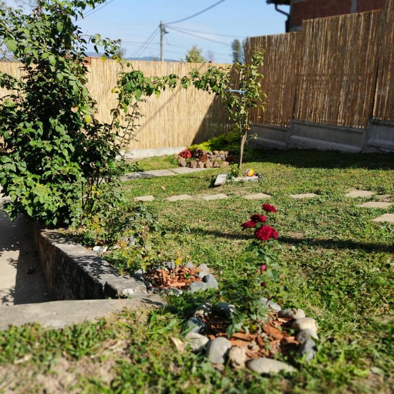 Kuca za odmor Milica - Kuća sa 1 Spavaćom Sobom - 21