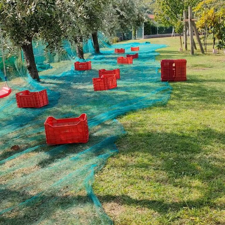 La tenuta di Eva - Two-Bedroom Apartment - 41
