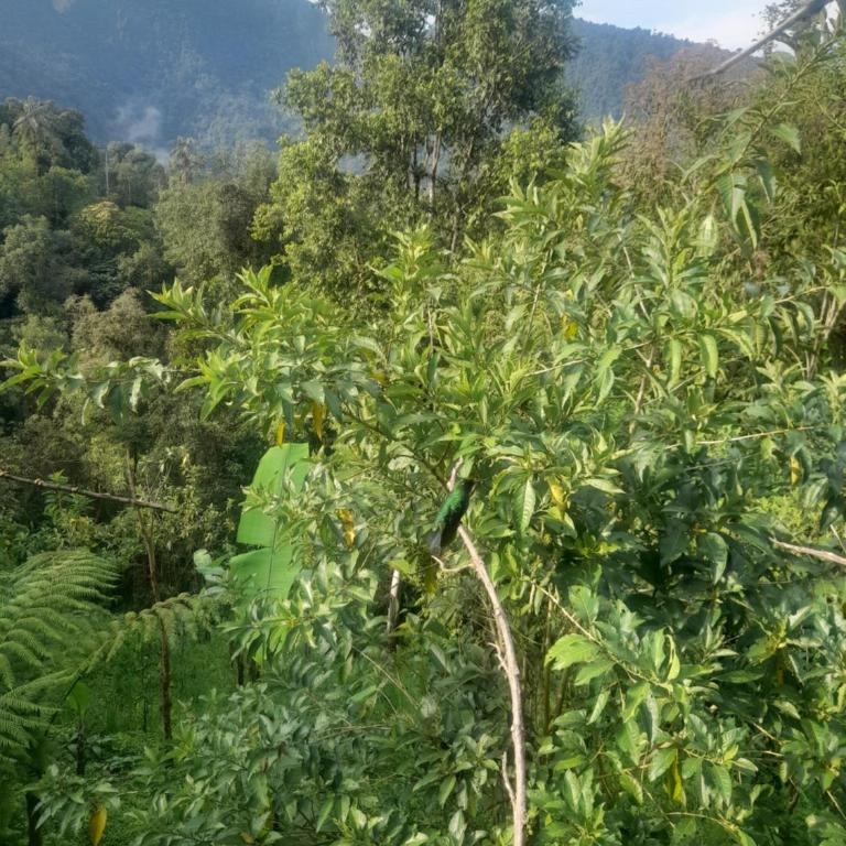 Sendero de las aves - Apartamento con balcón - 33